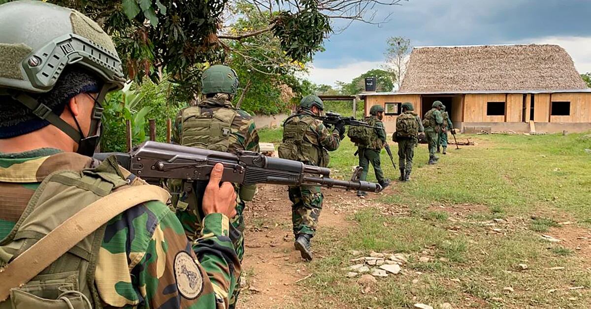 El video que revela la guerra que libran las disidencias de las FARC y el  ELN en territorio venezolano - Infobae