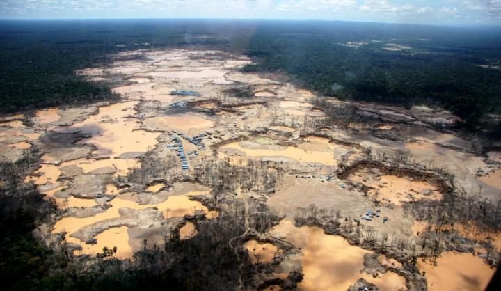 En América Latina, el Amazonas es uno de los ecosistemas donde se podrían producir eventos de propagación de patógenos a otras especies. Es clave frenar la deforestación ( Wake Forest University)
