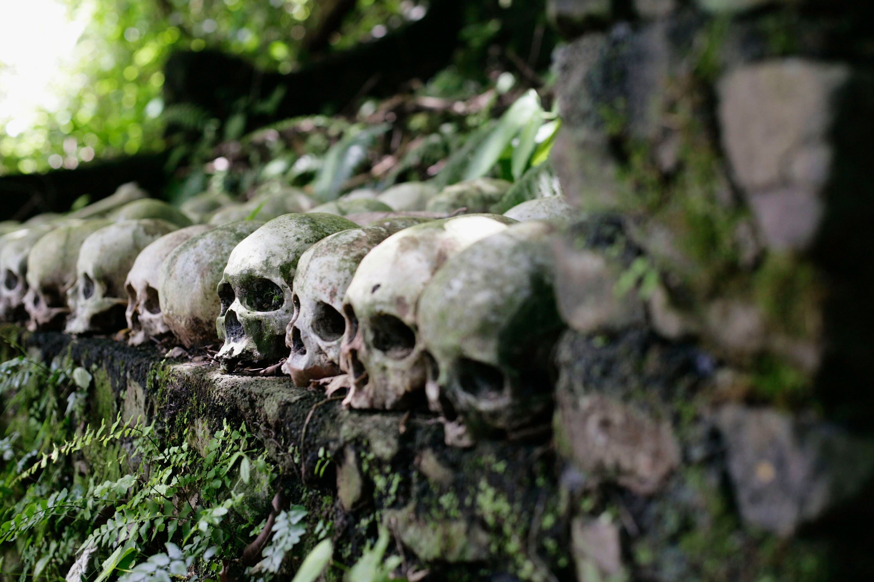 Trunyan, la villa donde los muertos se descomponen bajo un árbol, en Bali, Indonesia