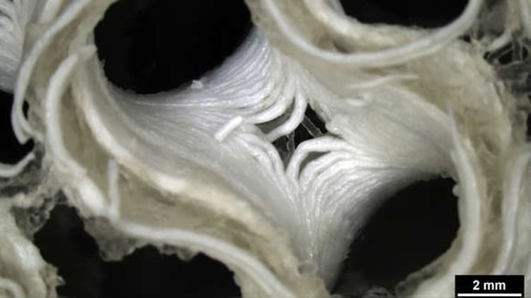 Para producir muestras de hueso se imprimieron células madre humanas con una composición de biotinta similar, añadiendo un cemento óseo de fosfato de calcio como material de soporte estructural | Fuente: ESA
