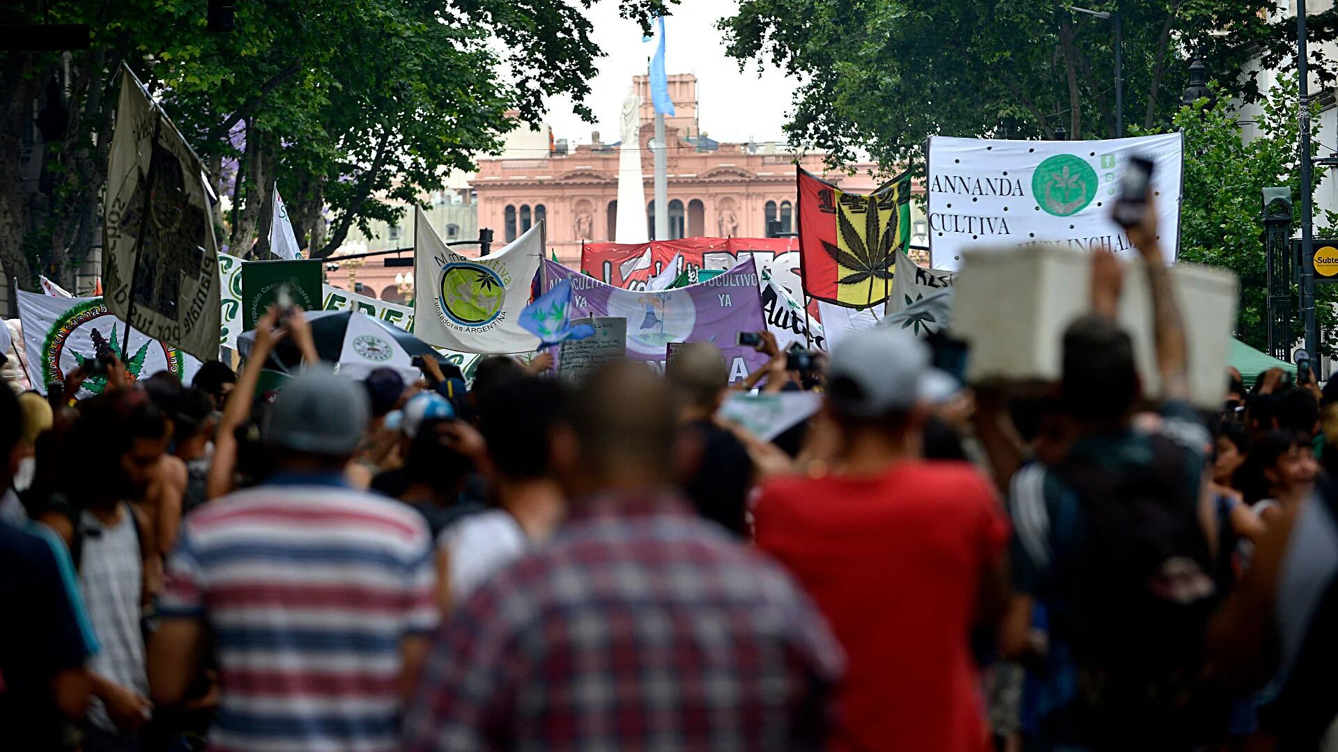 Una multitud marchó el último noviembre para reclamar la regulación de la planta de cannabis (Gustavo Gavotti)