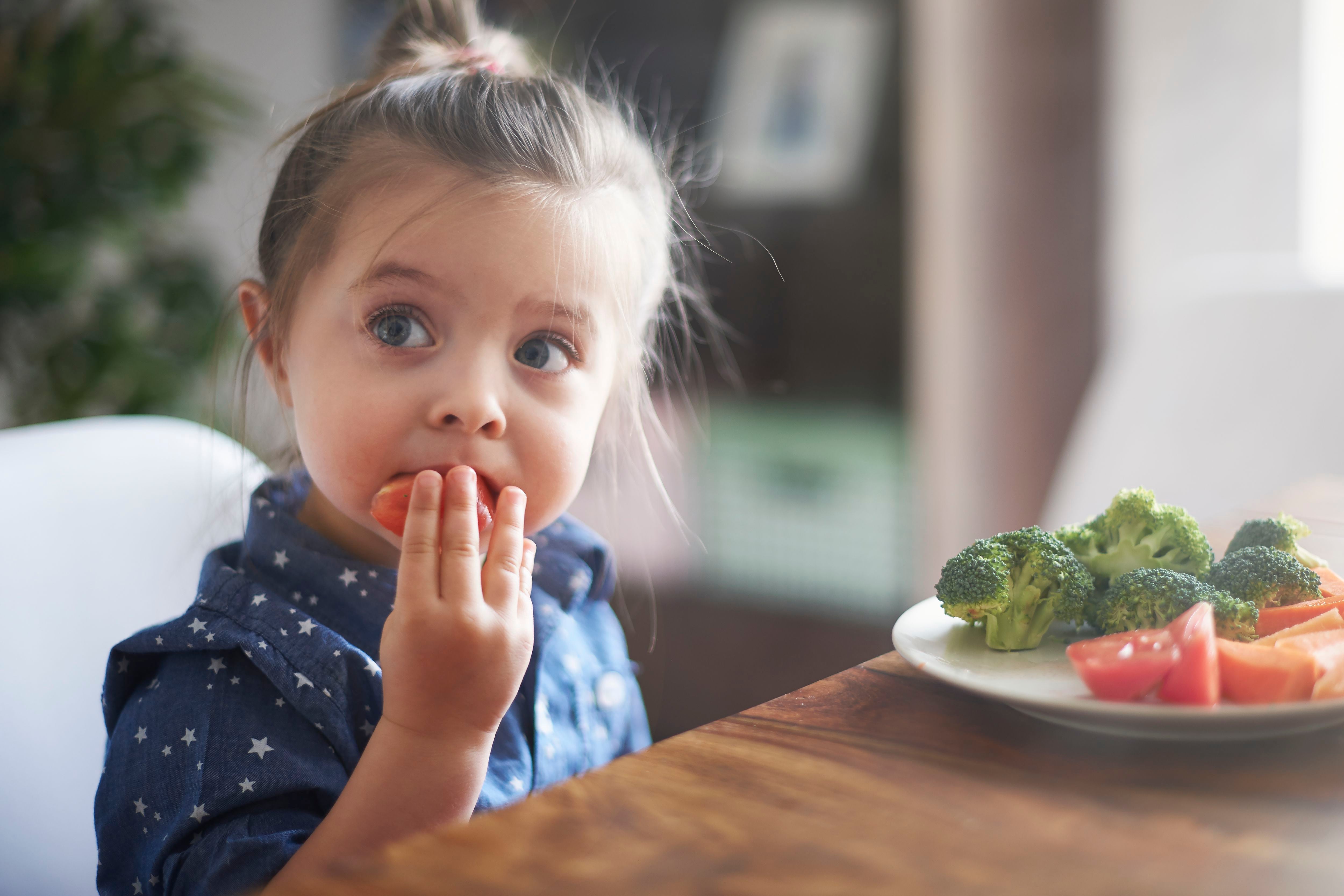 A medida que envejecemos, el equilibrio de nutrientes se vuelve esencial para mantener una salud óptima