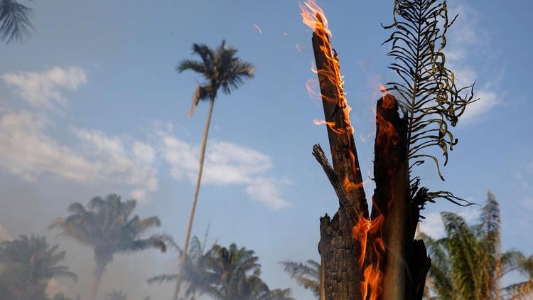 Bolsonaro nombró a las ONG para sugerir que están detrás de los incendios (Reuters)