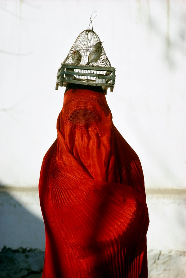 Una mujer vestida con un chadri rojo (una vestimenta tradicional islámica para cubrirse), lleva jilgueros sobre su cabeza en Kabul, Afganistán. Thomas J. Abercrombie, 1968