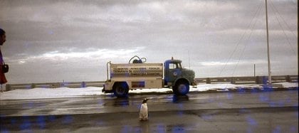 El camión de YPF, en plena  tarea en la capital de las islas. En primer plano, un pingüino, exponente clásico de la fauna local (Gentileza Boscardin)