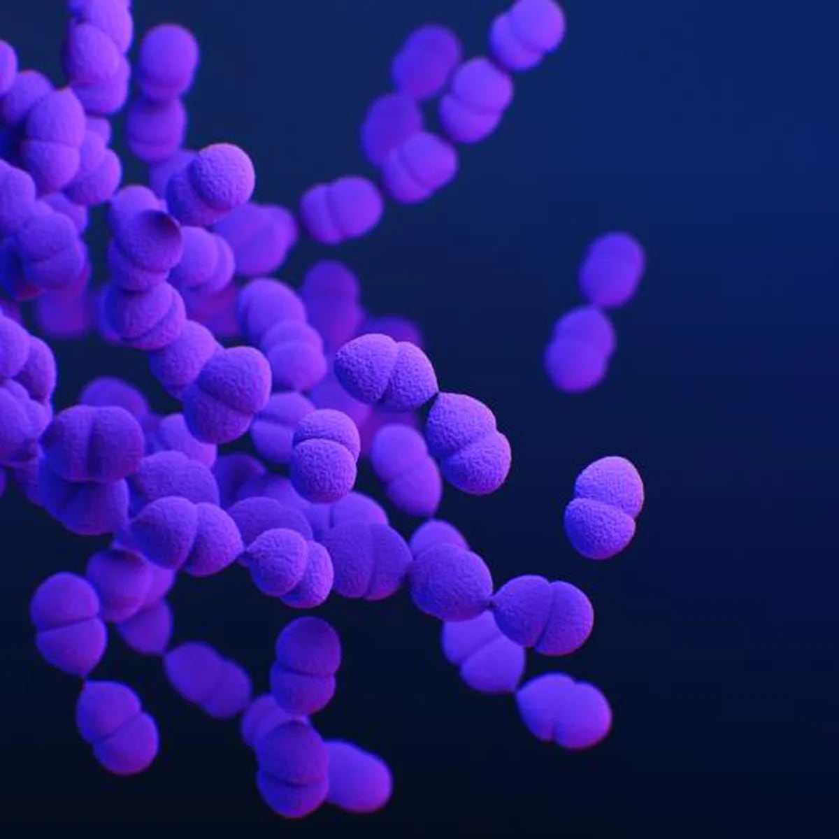 Investigadores detectan en estropajos de cocina unas bacterias que luchan  contra la resistencia a antibióticos - Noticias de enfermería y salud
