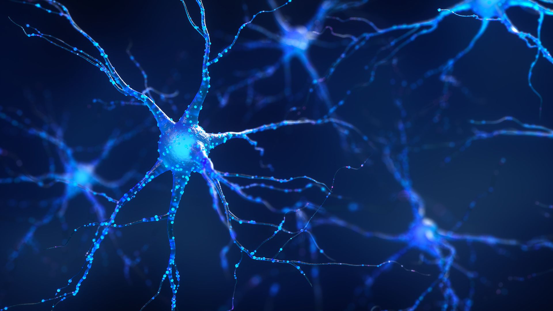 La plasticidad cerebral hace al cerebro increíblemente adaptable y capaz de reorganizarse en respuesta a nuevas experiencias y aprendizaje (Getty Images)