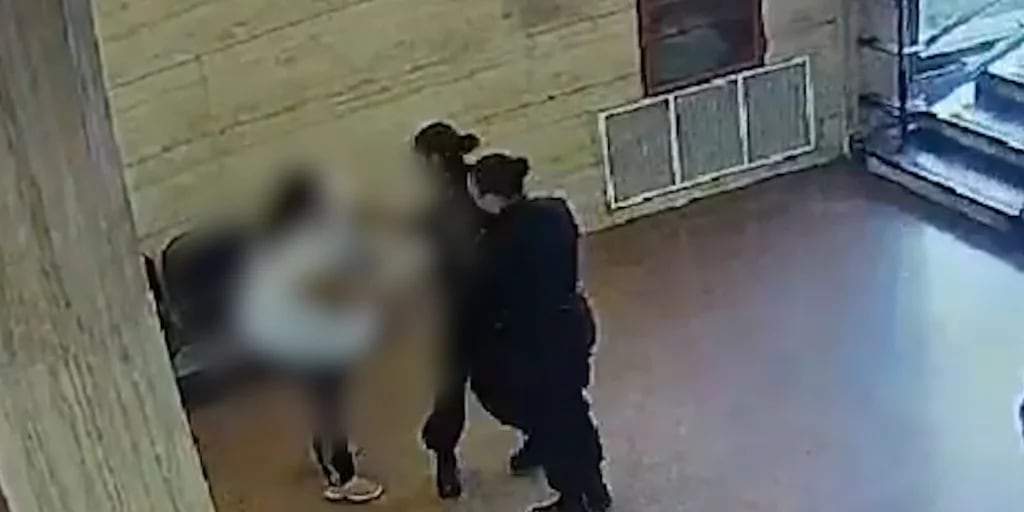 Video: una mujer intentó sacarle el arma a una policía en el interior de los Tribunales provinciales de Rosario