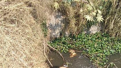 En Tlaquepaque, una mujer fue hallada dentro de un canal de aguas negras localizado en la carretera San Martín Al Verde, a la altura de la colonia San Martín de Las Flores (Foto: Twitter/@Eloy_Arellano)