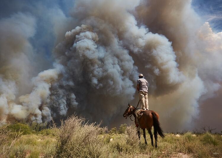 MARCELO AGUILAR LÓPEZ. General Alvear, Mendoza. Enero 2018. Puestero observa la distancia y dirección del fuego