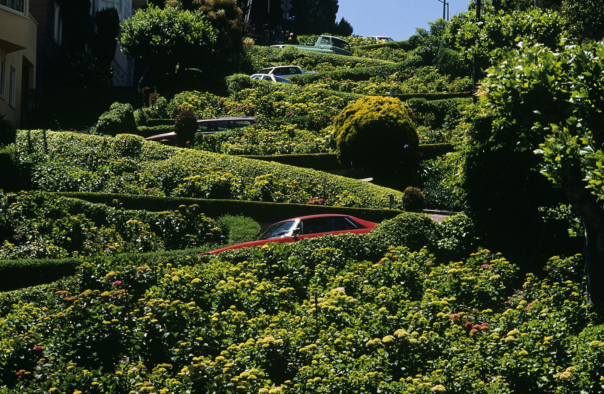 Lombard Street ofrece un vasto espacio verde para recorrer (Getty)
