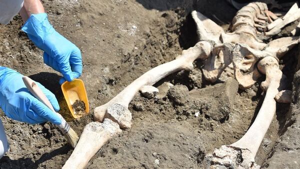 Los arqueólogos también encontraron el cadáver de un hombre decapitado