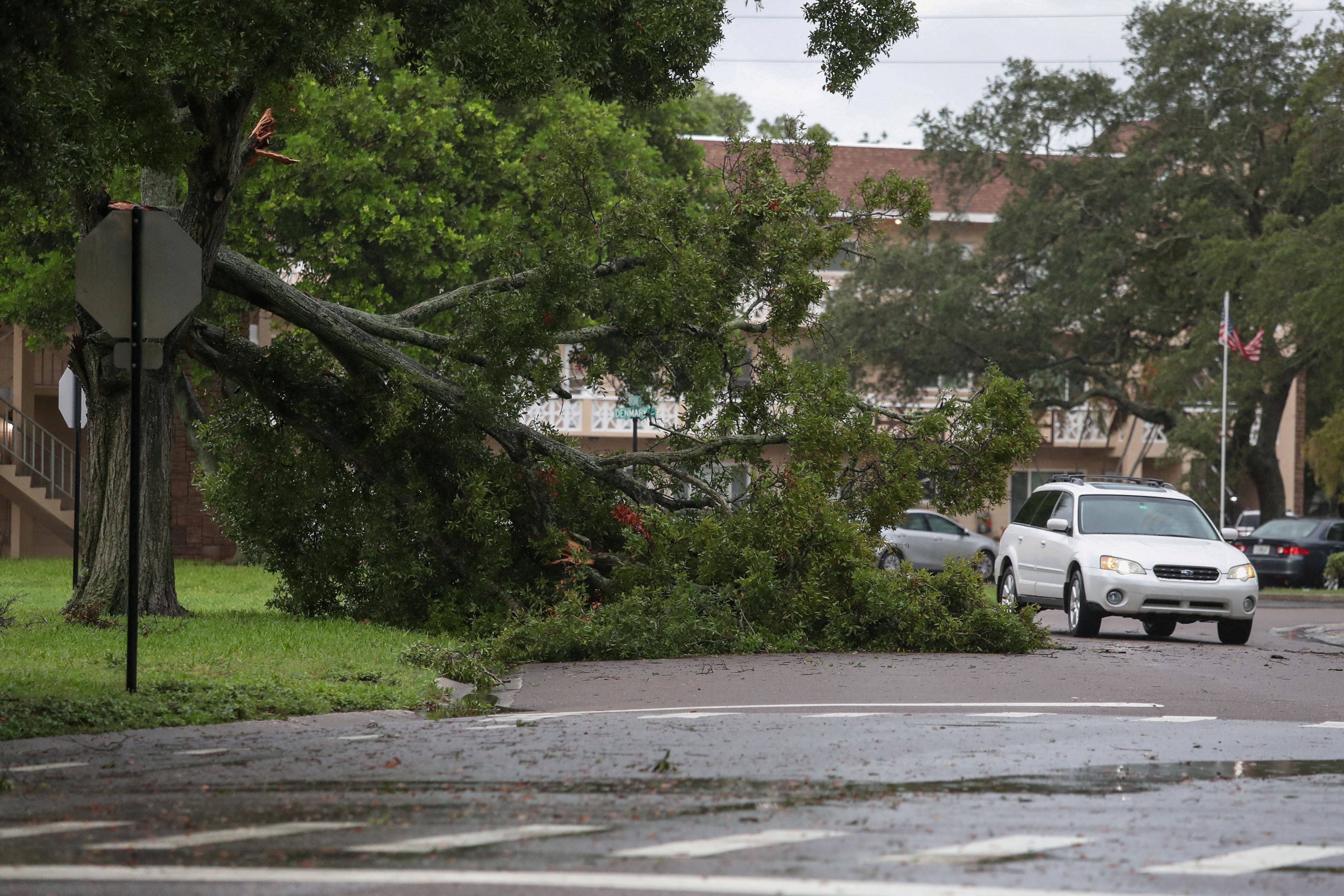 FILE PHOTO: A resident drives past a fallen tree due to the high winds from Hurricane Idalia in Clearwater, Florida, U.S., August 30, 2023. REUTERS/Adrees Latif/File Photo