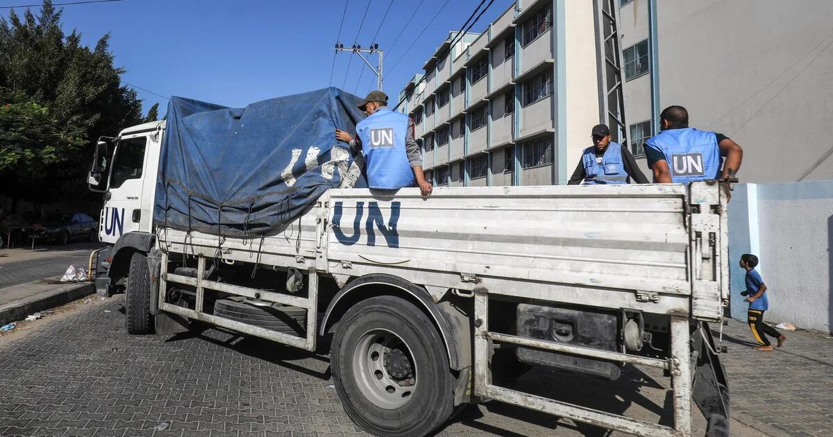 La Germania ha detto che riprenderà “presto” la cooperazione con l'UNRWA a Gaza e fornirà fondi all'agenzia