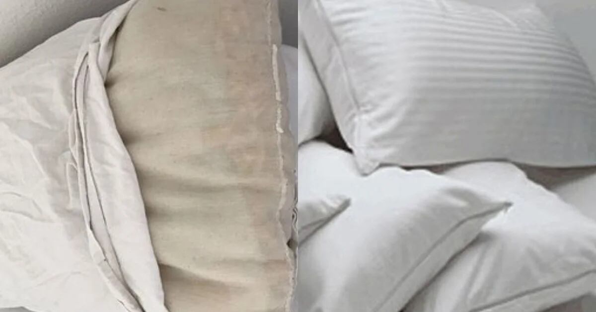 Pertenece fluido Fácil Trucos caseros para tener una almohada limpia y sin manchas amarillas -  Infobae