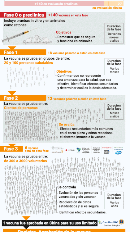 Las fases de las vacunas y las 7 que se encuentran en la última etapa (Infografía: Marcelo Regalado)