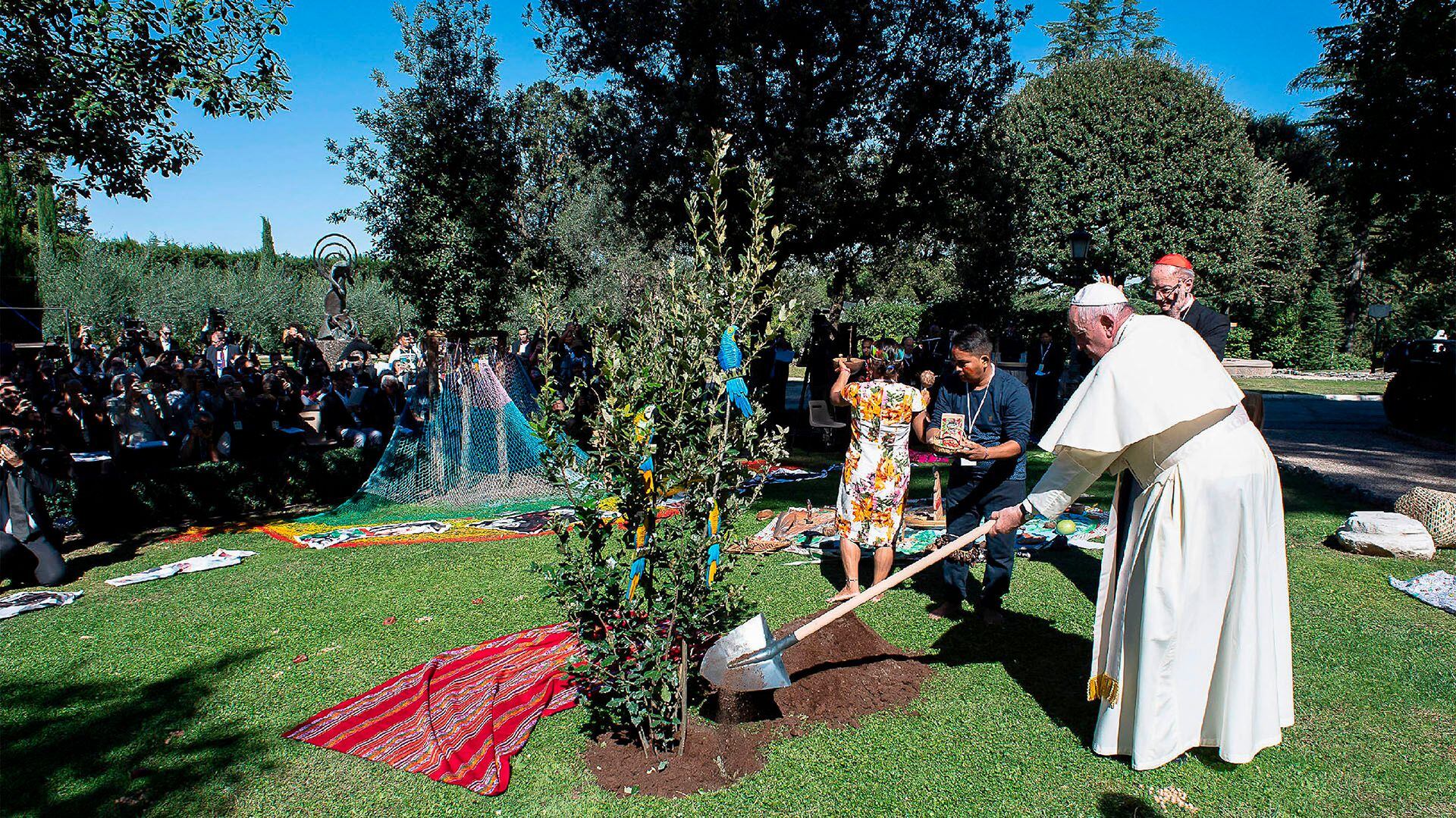 El papa Francisco plantó un árbol este viernes en el Vaticano junto a indígenas del Amazonas (AFP)