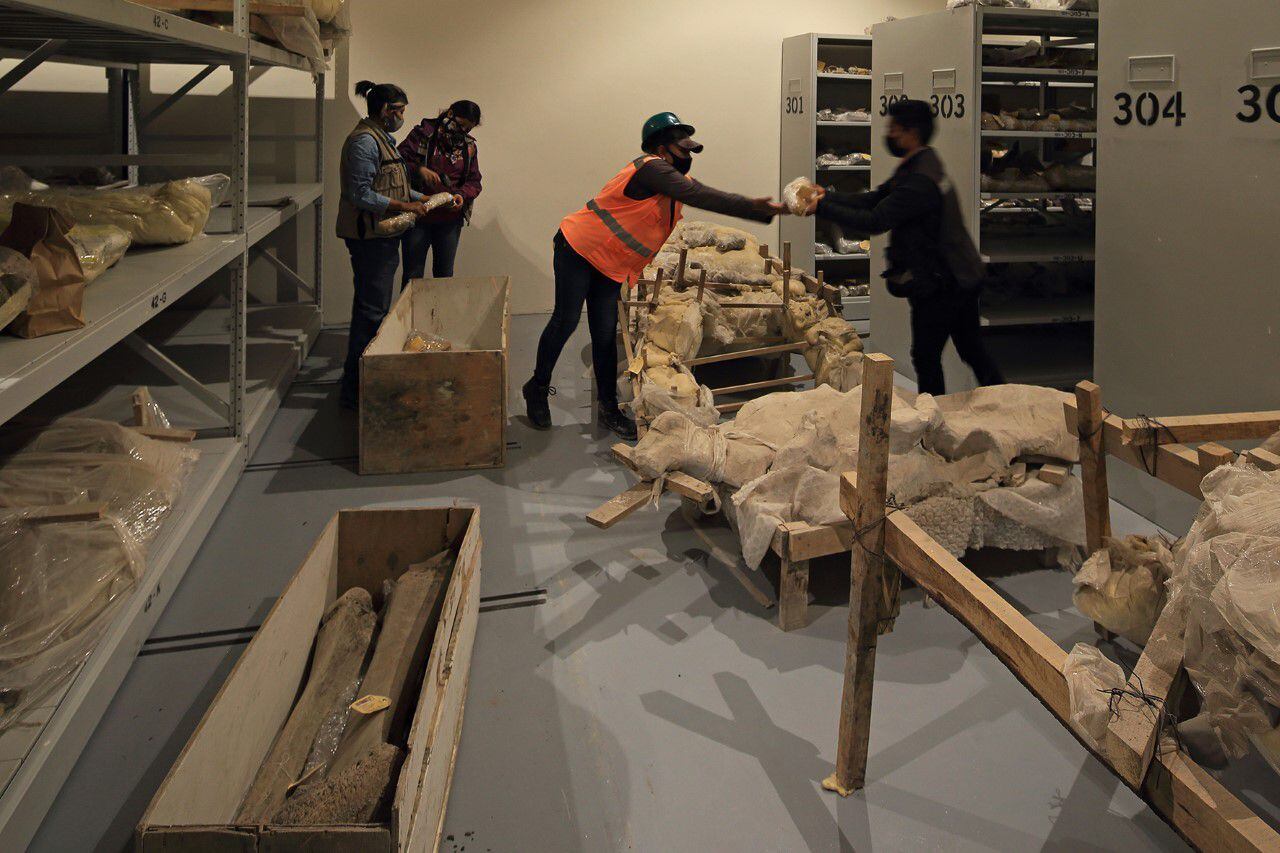 A la búsqueda de mamuts: INAH emprende estudio sobre restos hallados en el AIFA.