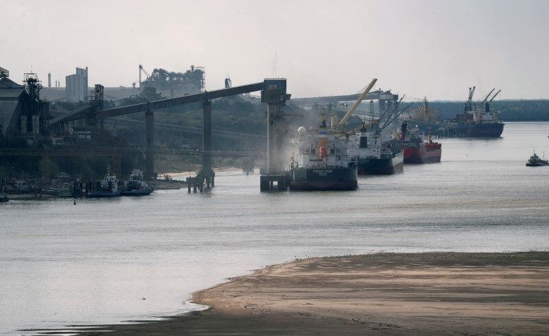 Carga de barcos para exportación en el puerto de Rosario
REUTERS/Agustin Marcarian/File Photo