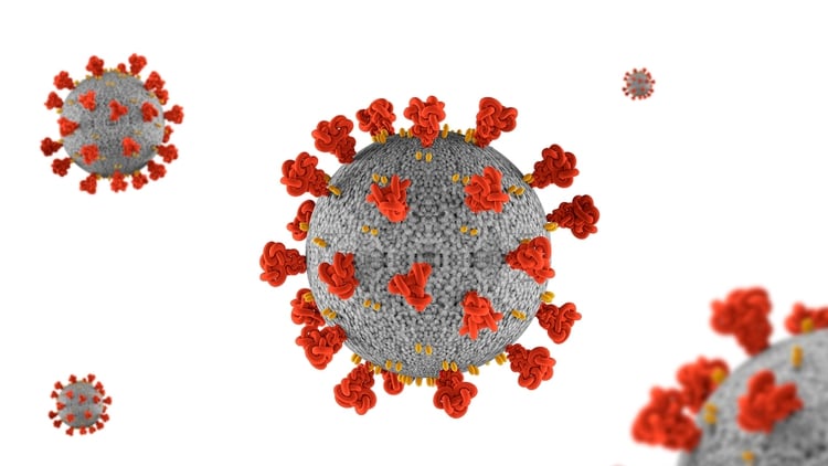 Hasta hace 4 meses, el mundo desconocía la existencia de este virus SARS-CoV-2 que tiene sus espigas terminales en forma de corona, y por eso fue denominado coronavirus. La Clinica Mayo sistematizó dos preguntas científicas que una nueva vacunas debe responder: ¿Es segura la intervención?¿Es eficaz? (Shutterstock)