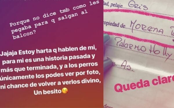 El mensaje de Morena a su ex incluyó una foto de los papeles del perro donde figura ella como propietaria. (Fotos Instagram)