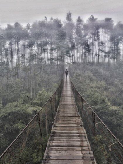 Uno de los puentes colgantes de Cascadas Paraíso (Foto: Instagram @sofi.giuliani)