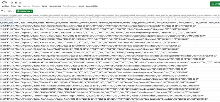 Formato de la información disponible en el dataset que sube el Ministerio de Salud de la Nación.