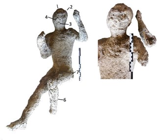 Los investigadores utilizaron una técnica química no invasiva para analizar su composición de los restos óseos en las figuras rellenas de yeso (Llorenç Alapont, Gianni Gallello)