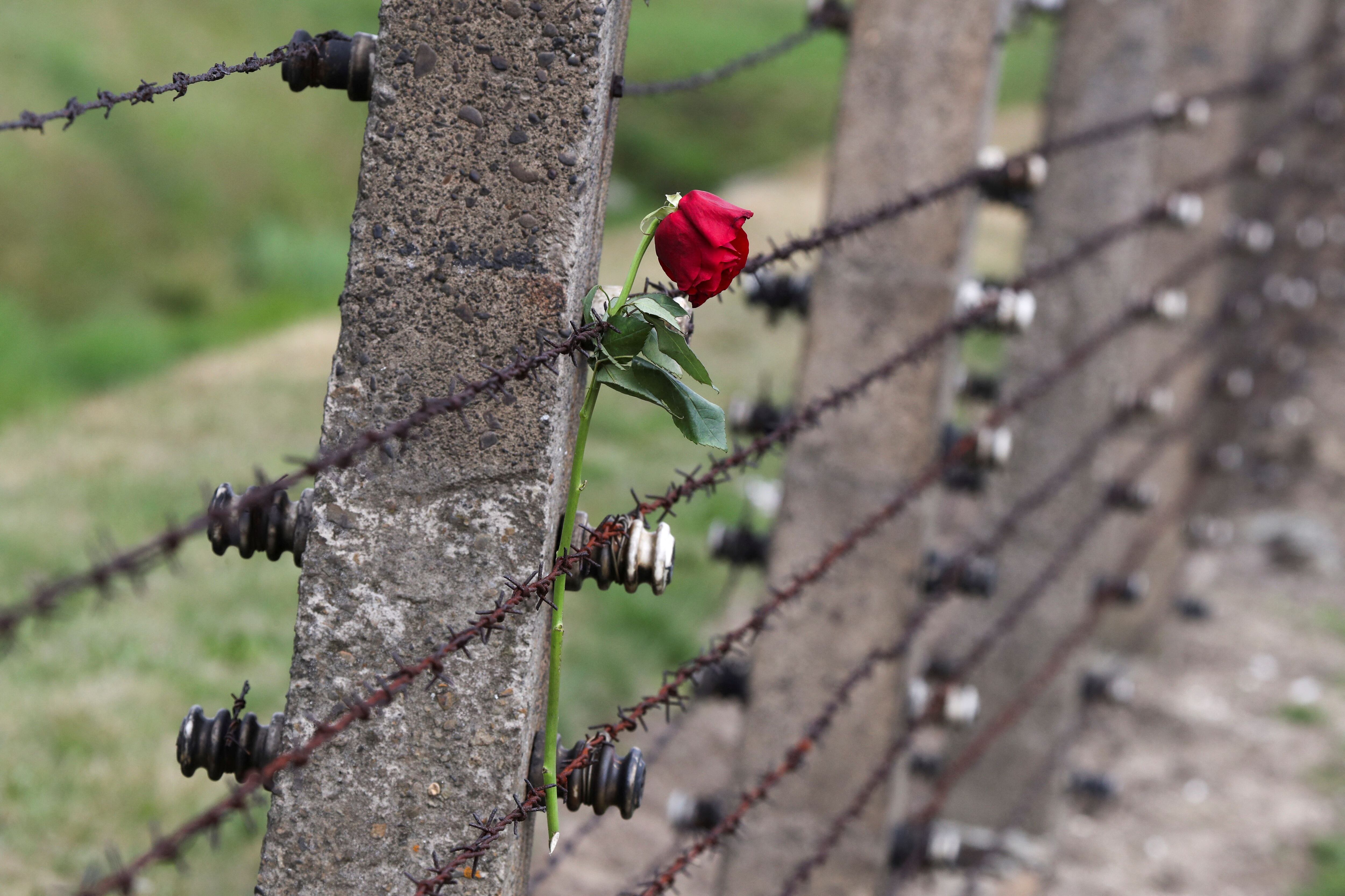 Campo de concentración de Auschwitz (REUTERS/Kacper Pempel)