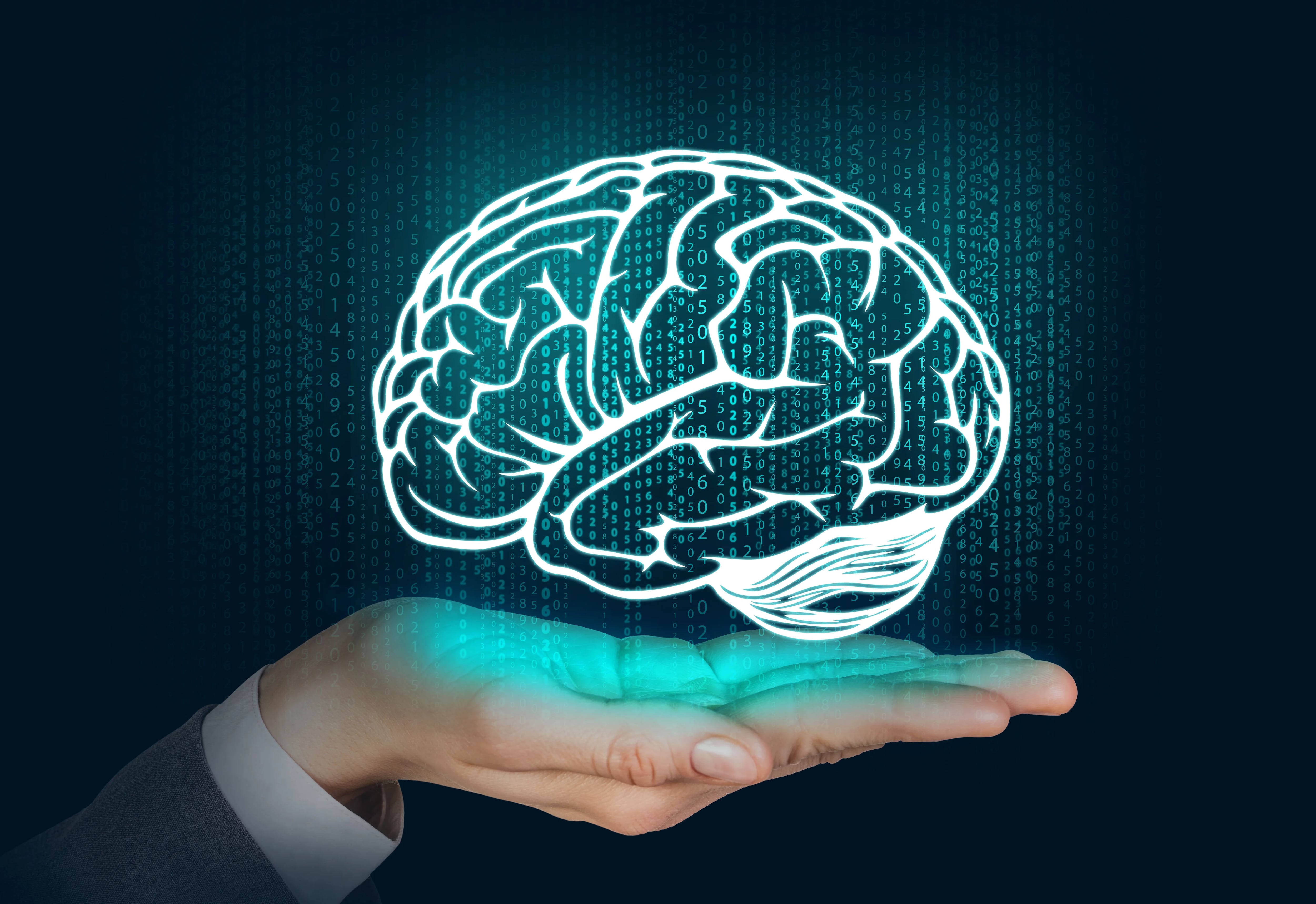 Nuestro cerebro se regenera a pesar de la edad o los posibles traumas (iStock)