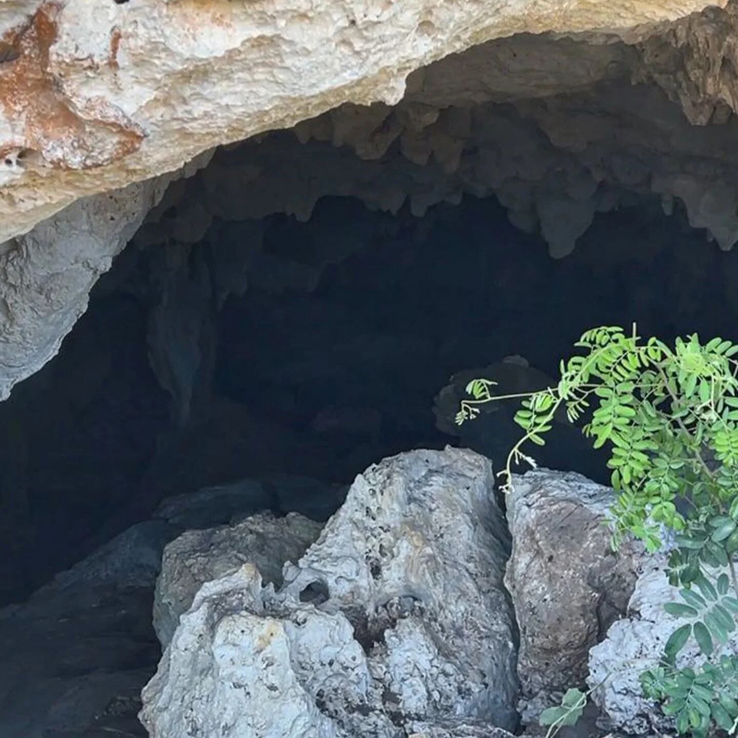 Al día de hoy, la cueva Dama Blanca se encuentra intacta, acordonada y se  evalúan las medidas para su protección, Secretaría de Cultura, Gobierno