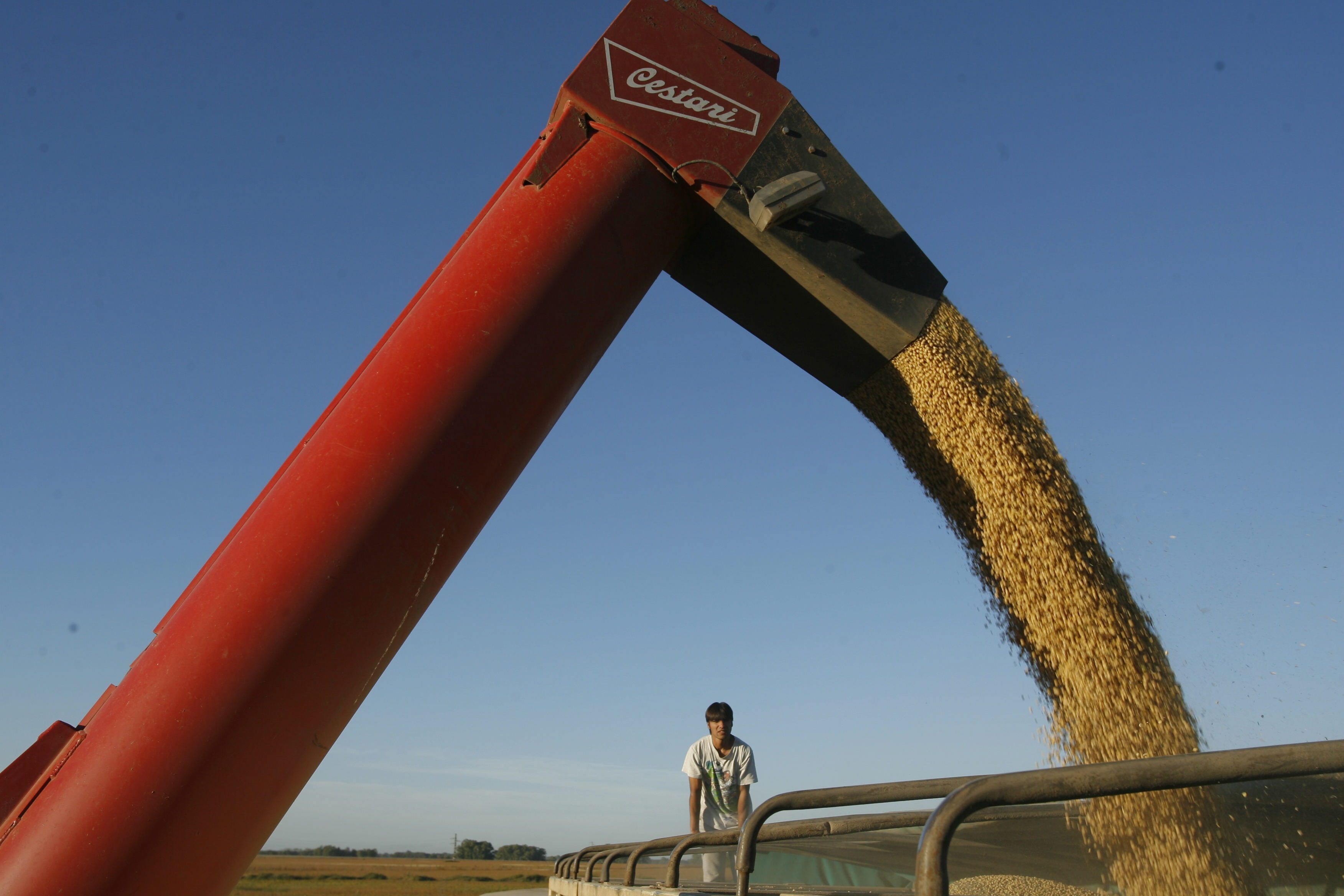 Un productor agropecuario controla una carga de semillas de soja en la localidad de Olivera, a unos 100 kilómetros de Buenos Aires. EFE/Cézaro De Luca/Archivo
