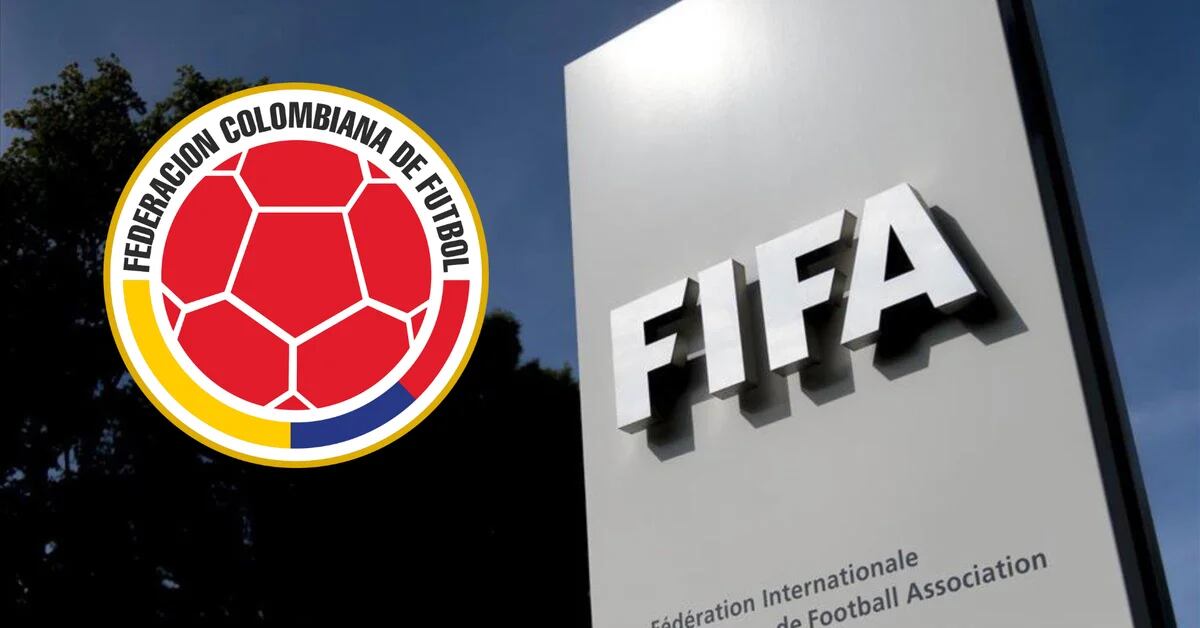 FIFA will give the Colombian Football Federation 8 million dollars: what is the reason