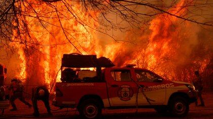 Más de 30 mil hectáreas ya fueron afectadas por los incendios
