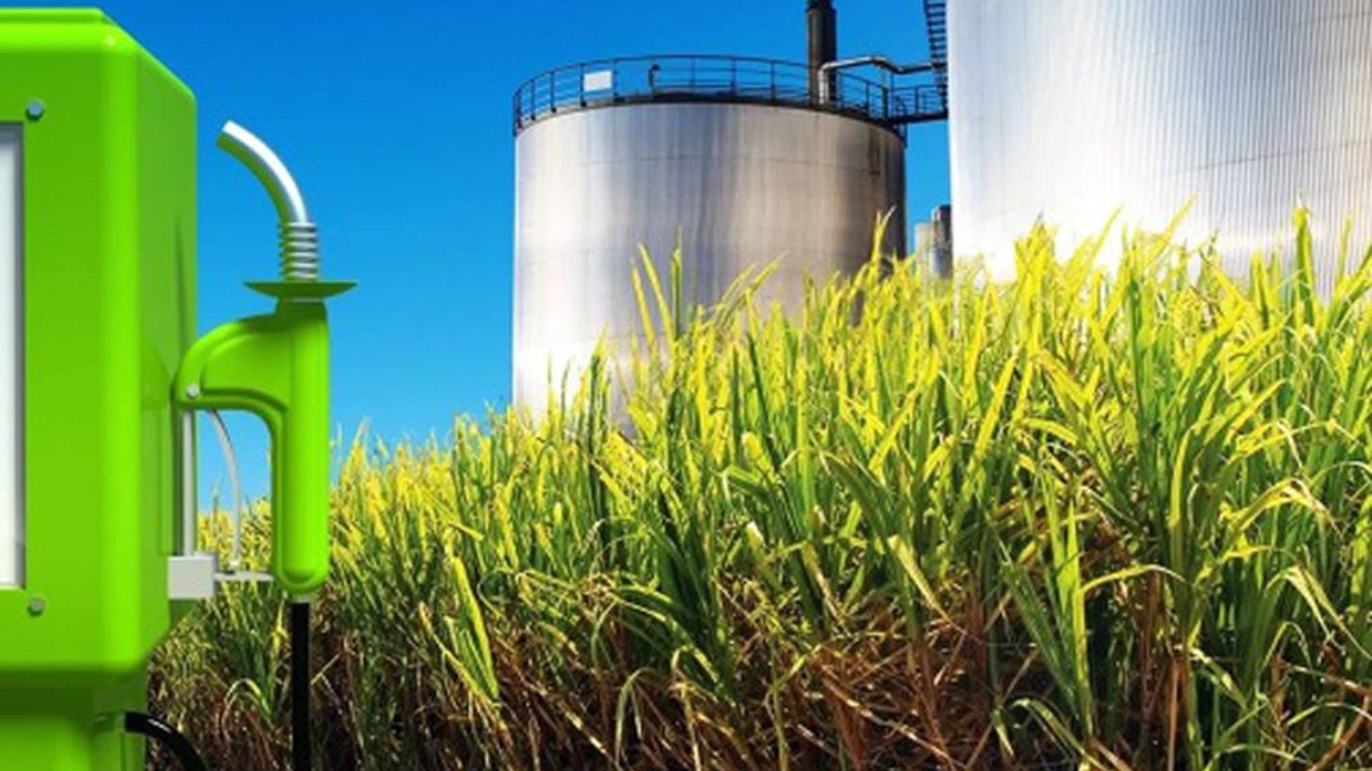 El bioetanol se produce a base de caña de azúcar, pero también de maíz