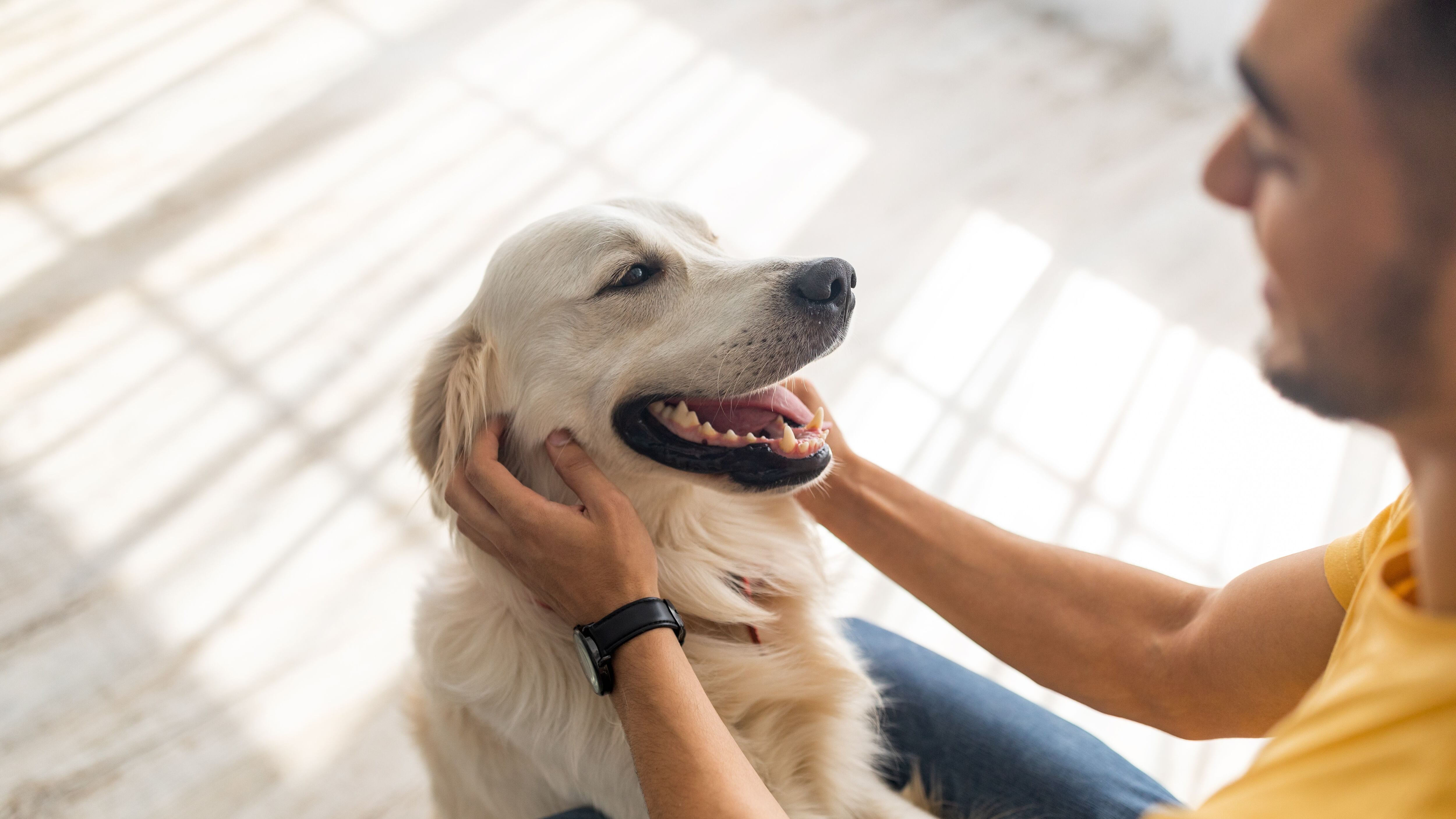 Un joven acaricia a su perro (Shutterstock)
