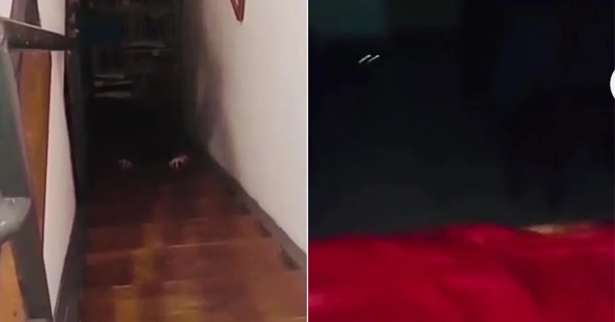 A woman heard a noise in her house, started recording and saw hands on the stairs