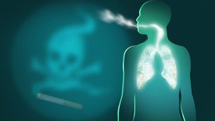 El humo del cigarrillo (CS) es la causa más importante de enfermedad pulmonar crónica, incluida la bronquitis crónica y el enfisema, además de causar cáncer de pulmón (Shutterstock)