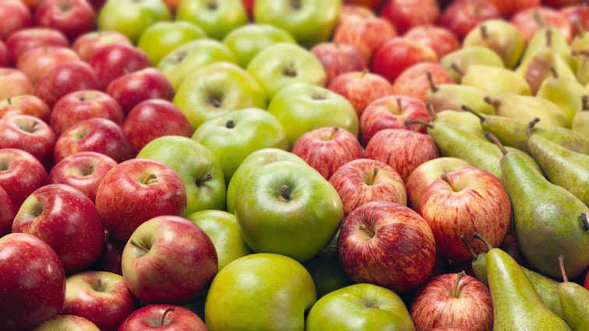 En el sector de peras y manzanas, las principales exportadoras ya se adhirieron al programa y están operando con el nuevo dólar