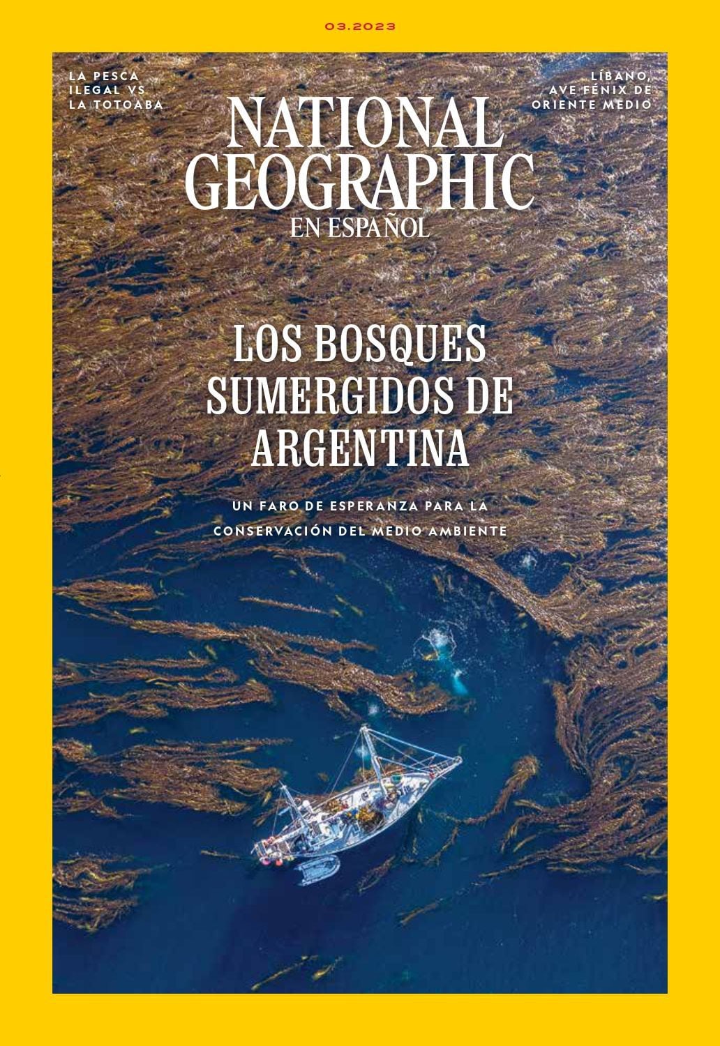 En marzo pasado, la tapa National Geographic en español le dedicó atención a los bosques sumergidos de Argentina, que están formado por el macroalga Cachiyuyo/Archivo