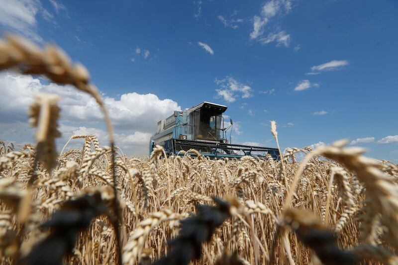FOTO DE ARCHIVO. Una cosechadora recolecta trigo en un campo cerca de la aldea de Hrebeni, en la región de Kyiv, Ucrania. 17 de julio de 2020. REUTERS/Valentyn Ogirenko