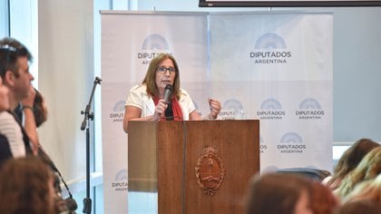 Mónica Del Río durante su exposición en el Congreso (Guillermo Llamos)