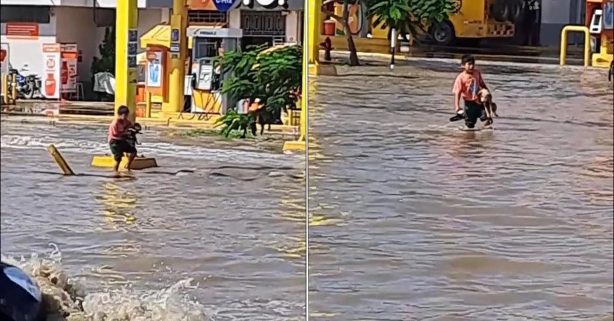‘He’s a hero’: A boy rescued a dog by carrying it across a flooded avenue in Peru