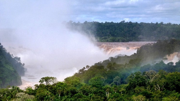 La selva misionera cobija atenta y diversa a las Cataratas del Iguazú (NA)