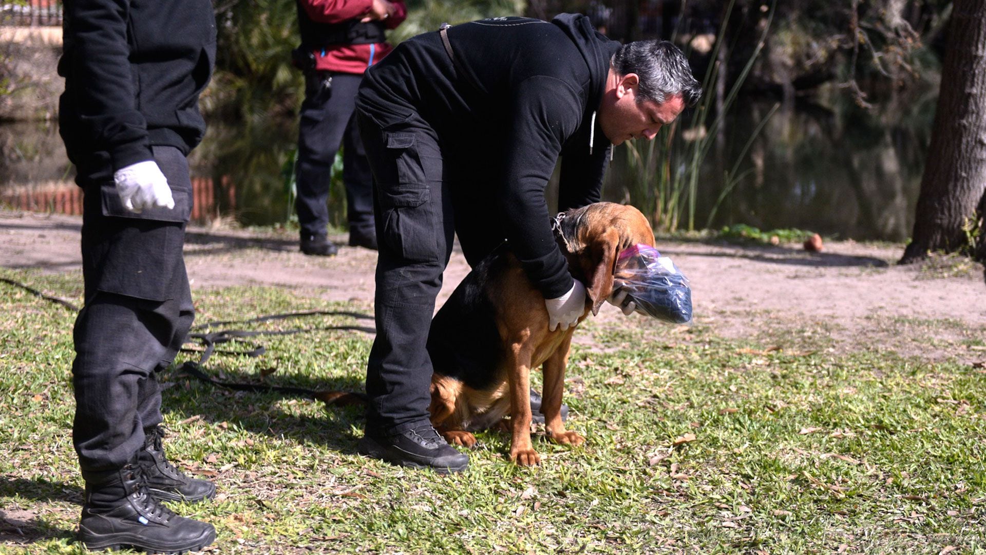 El perro olió una prensa del ingeniero para seguir su rastro (Adrián Escándar)
