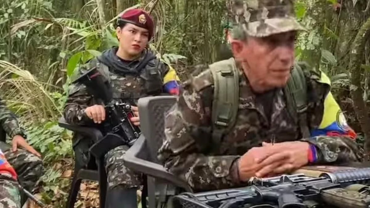 Murió alias Alexa en combates entre el Ejército Nacional y disidencias de las Farc en Casanare