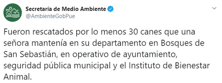 La Secretaría de Medio Ambiente de Puebla informó que varios perros fueron secuestrados y eran objeto de aparente maltrato por parte de una señora (Foto: Twitter/AmbienteGobPue)