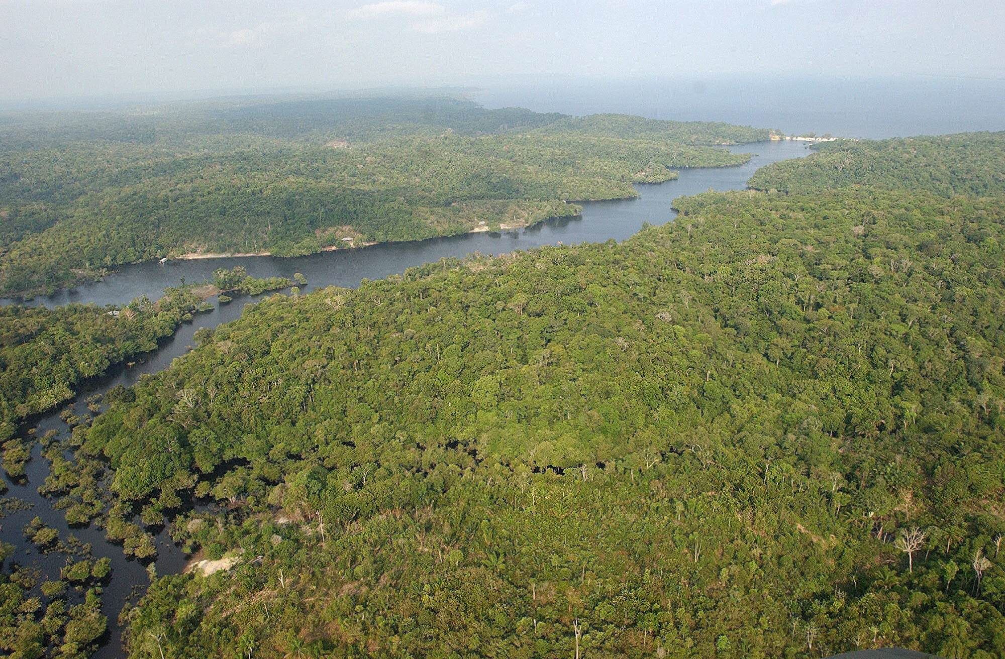 Entre agosto de 2019 y julio de 2020, la deforestación en la selva amazónica aumentó un 9,5 % frente al periodo anterior y alcanzó su mayor nivel desde 2008. EFE/Marcelo Sayão/Archivo
