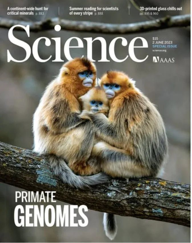 La revista Science publicó el mapa genómico de primates más completo hasta el momento. Incluyó al mono Aotus azarae de Formosa/Science