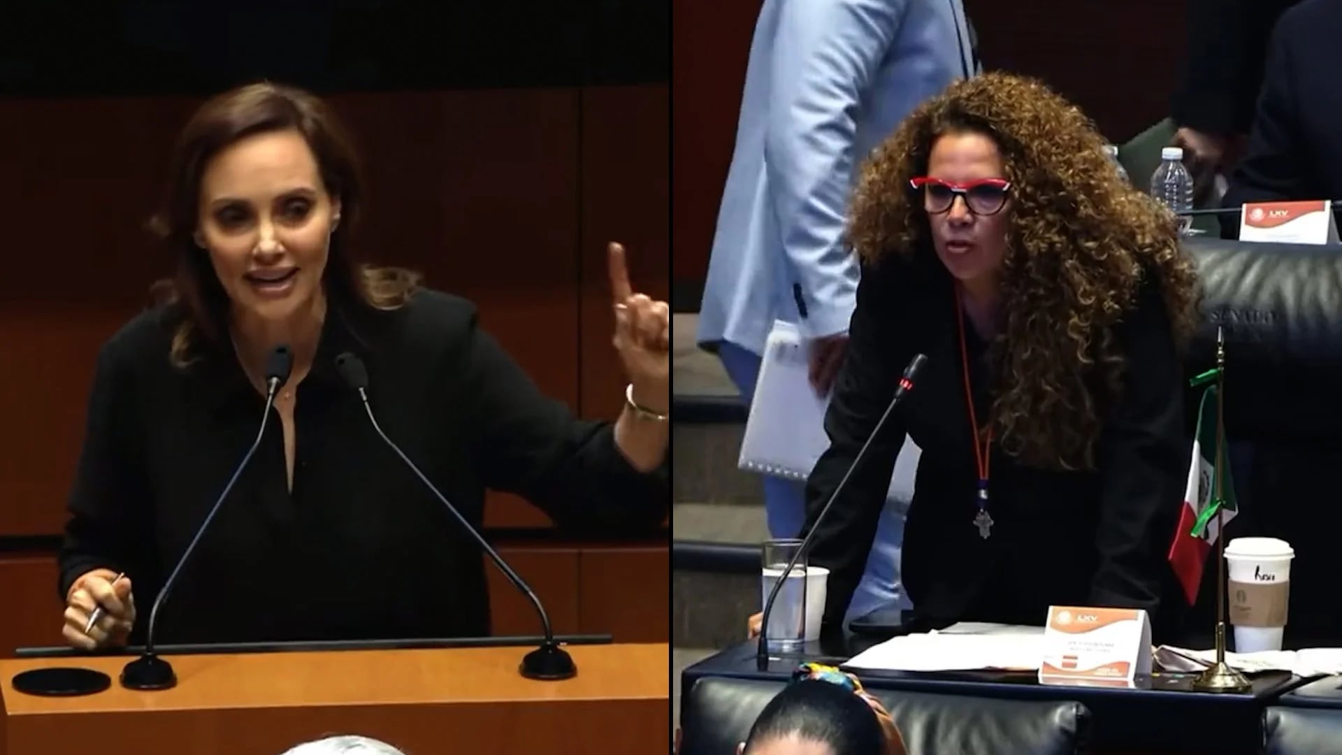 Lilly Téllez y Rocío Abreu se enfrentaron en el Senado por polémica de Gálvez y el sureste mexicano